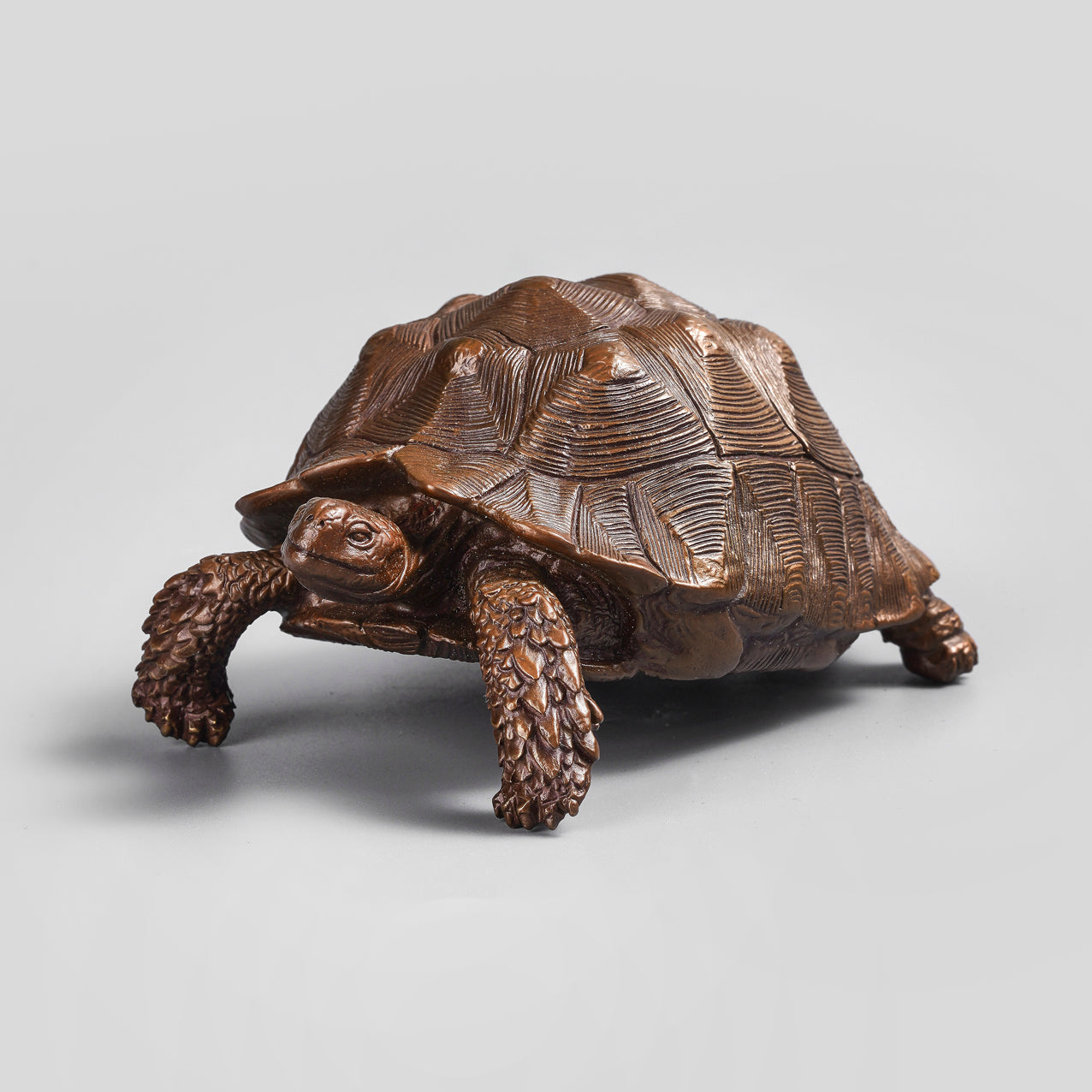 Centrochelys sulcata statue
