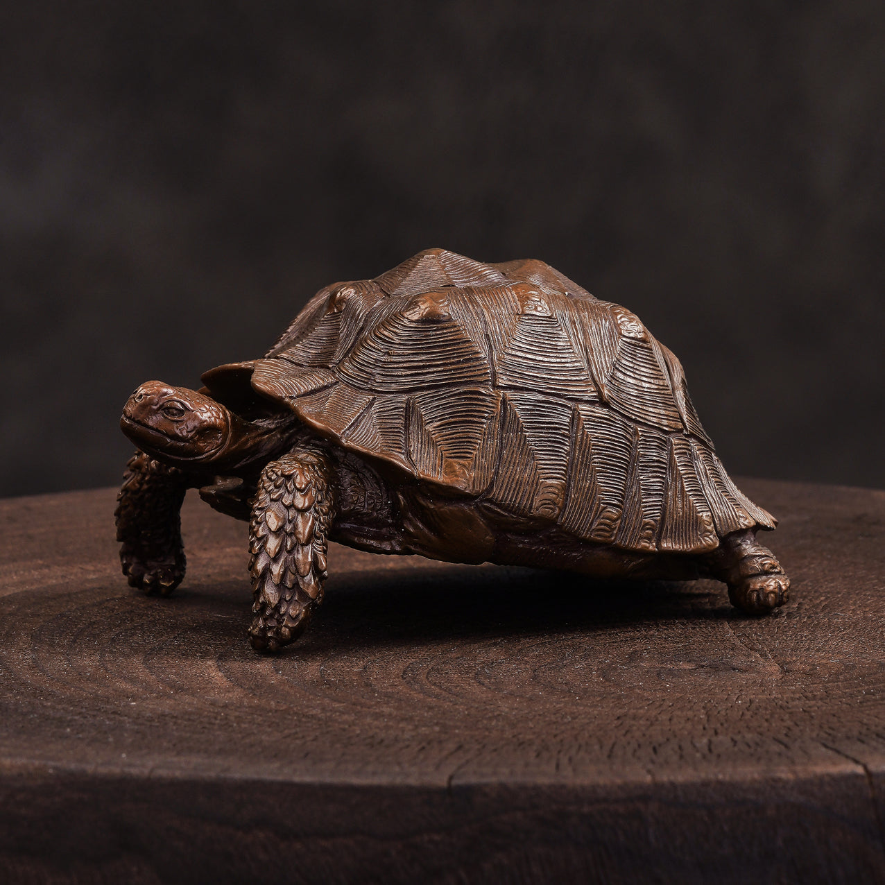 Sulcata Tortoise Bronze Statue