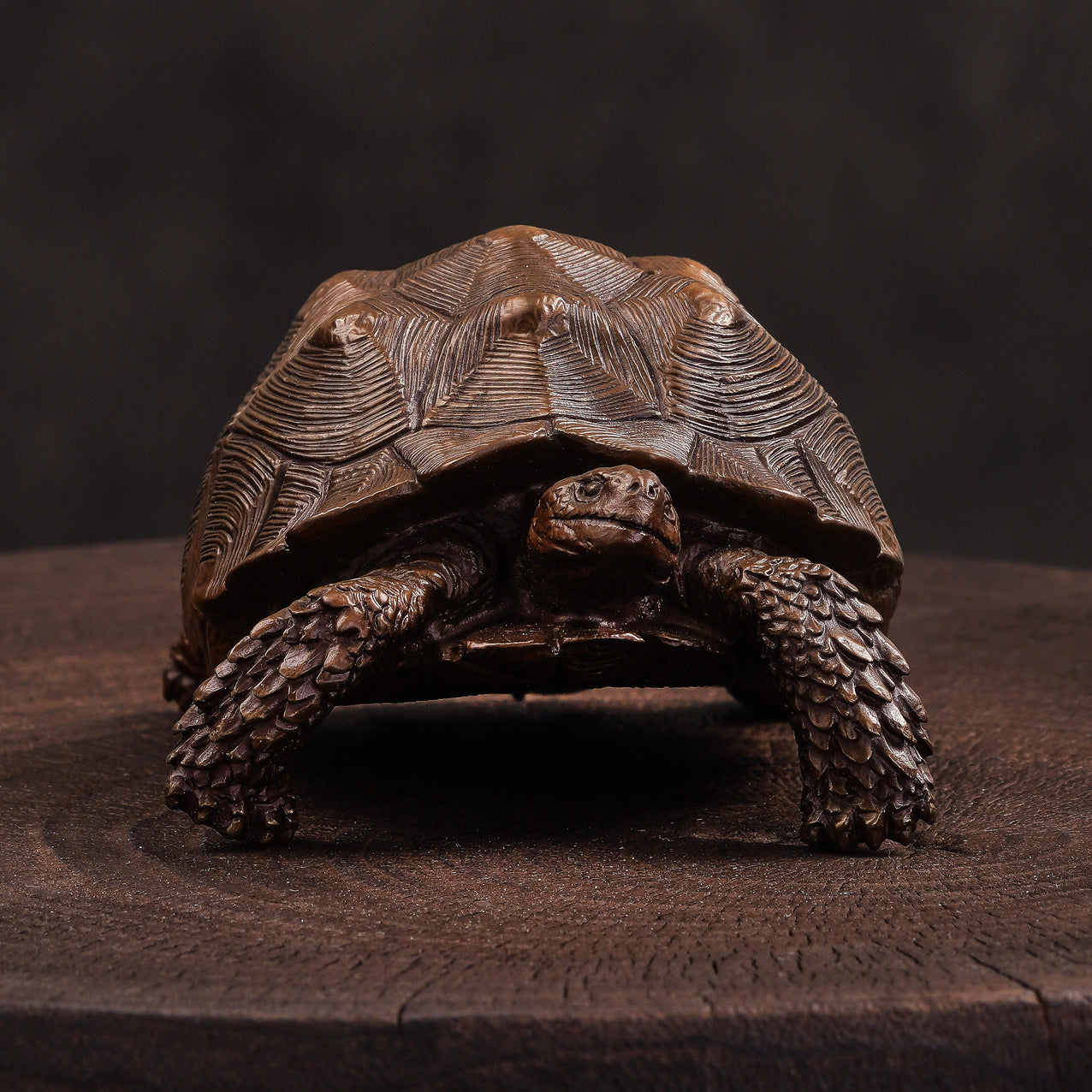 Spurred Tortoise Bronze Statue