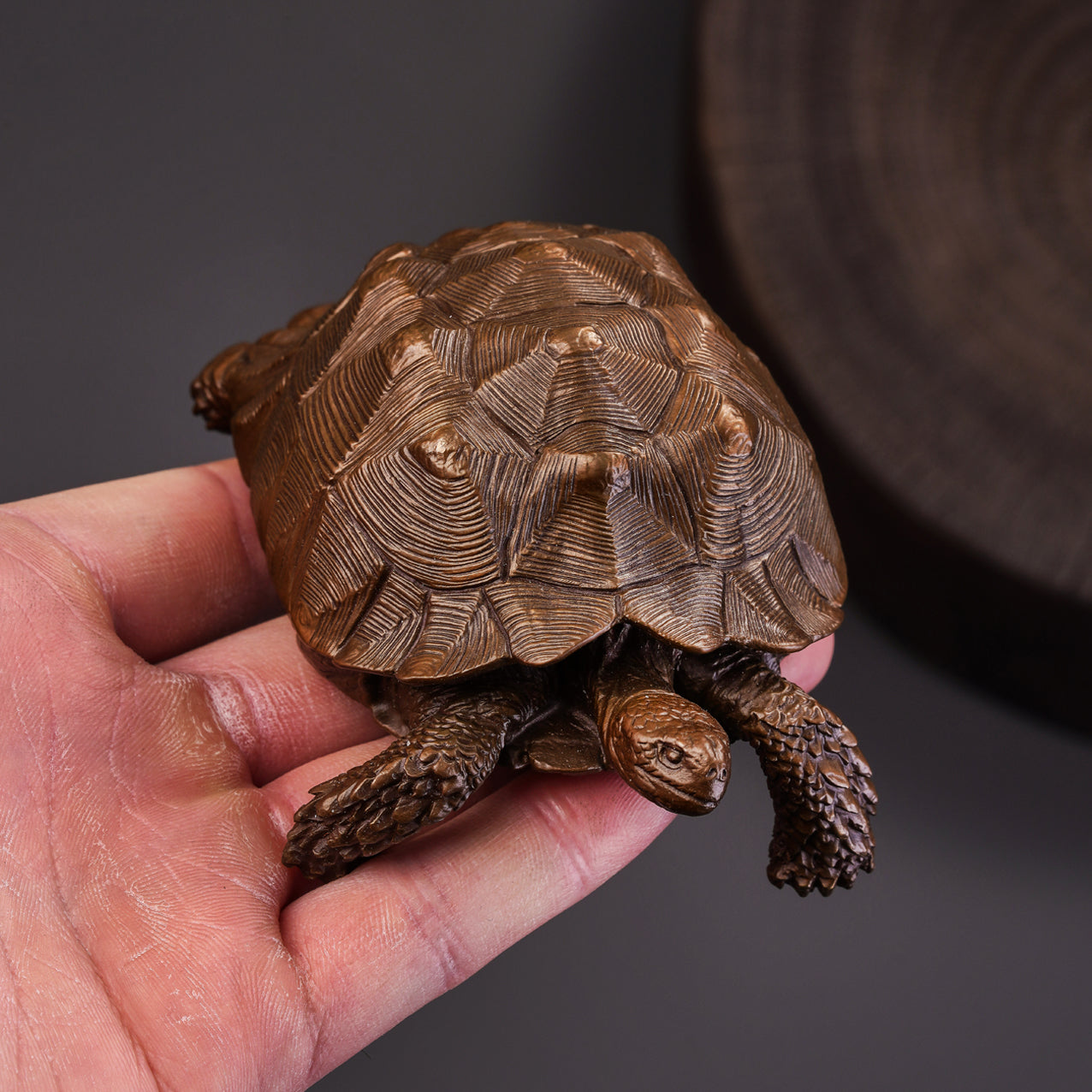 Sulcata Tortoise Bronze Statue