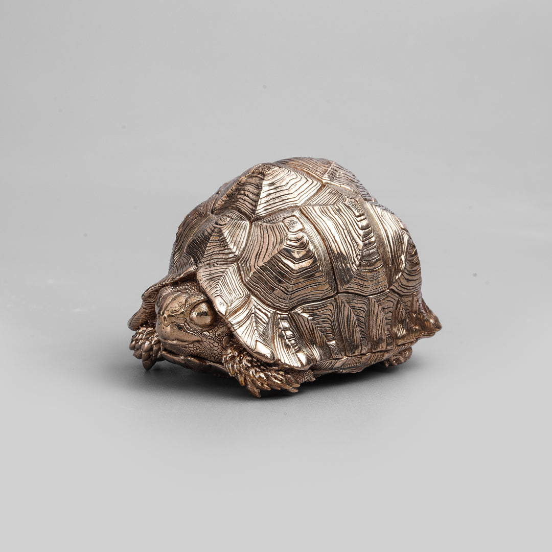 Leopard Tortoise Bronze Statue