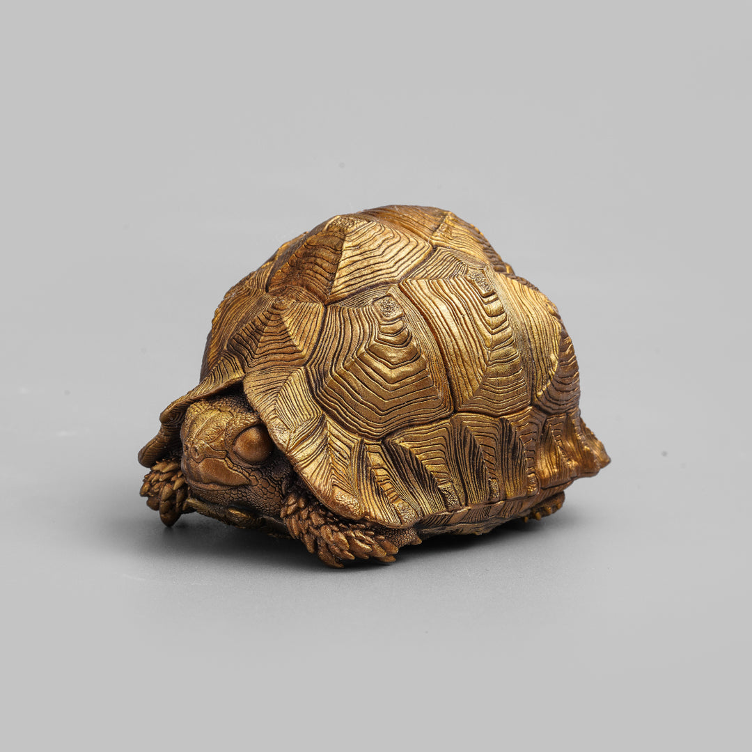 Leopard Tortoise Bronze Statue