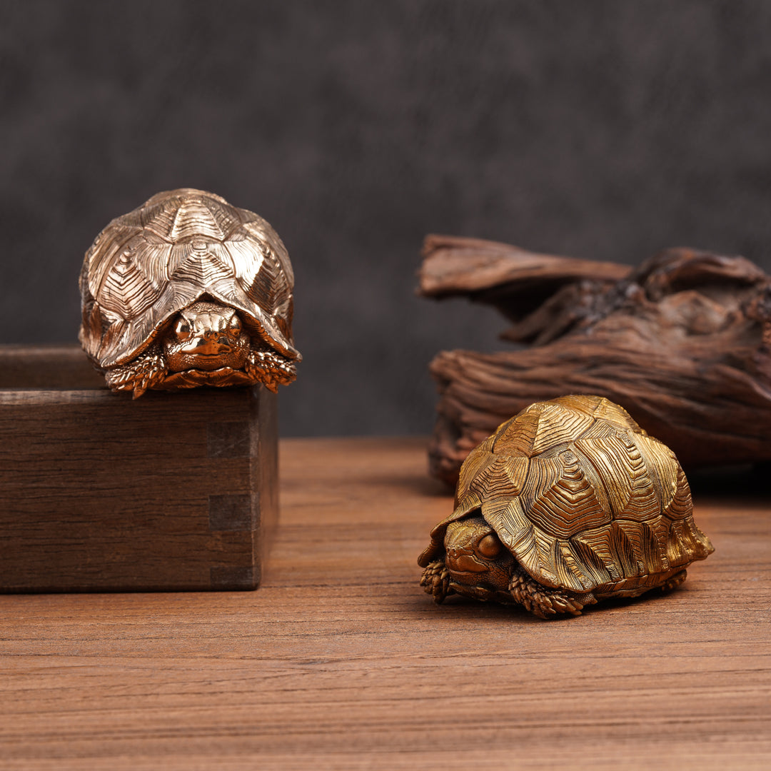 Leopard Tortoise Bronze Statue