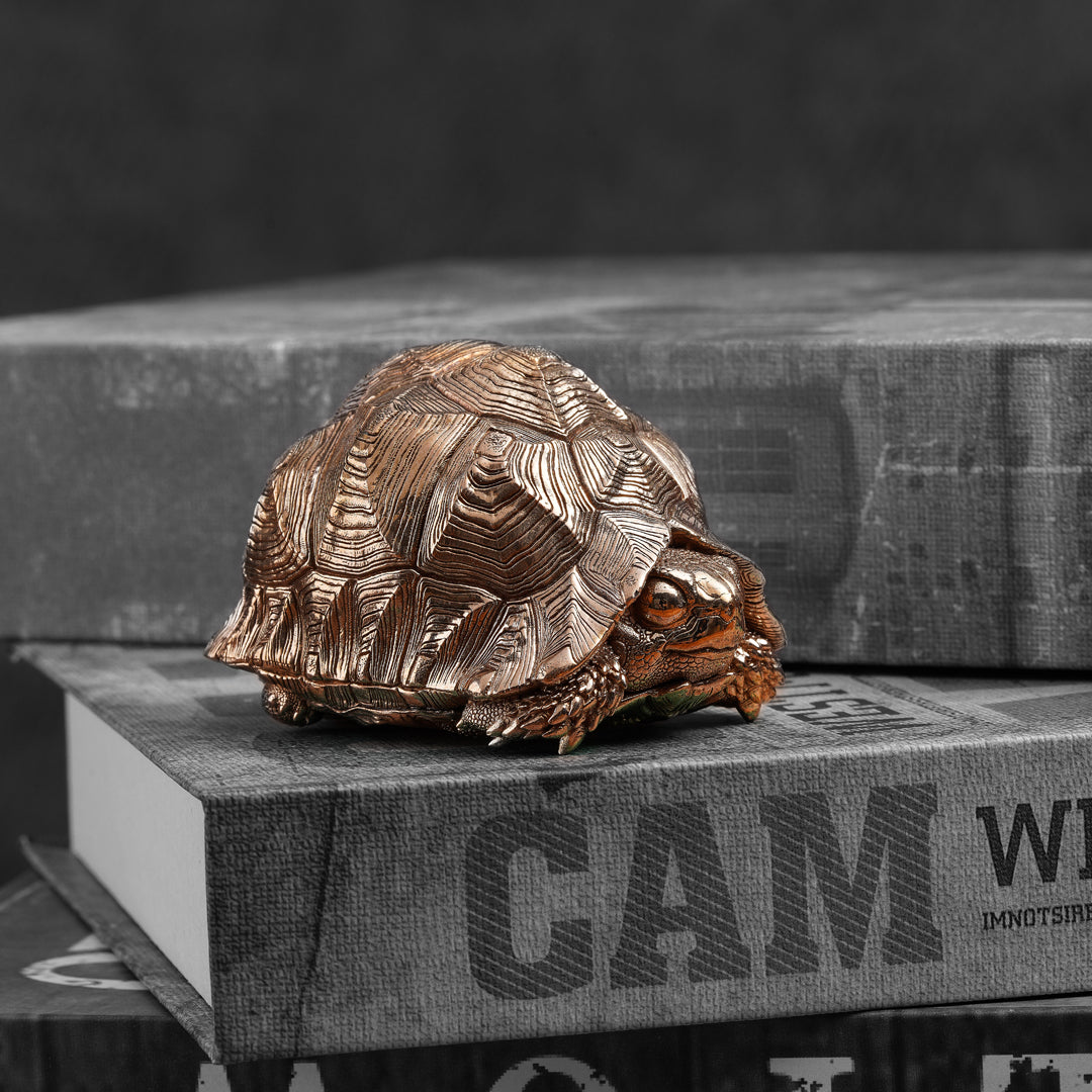 Leopard Tortoise Bronze Statue