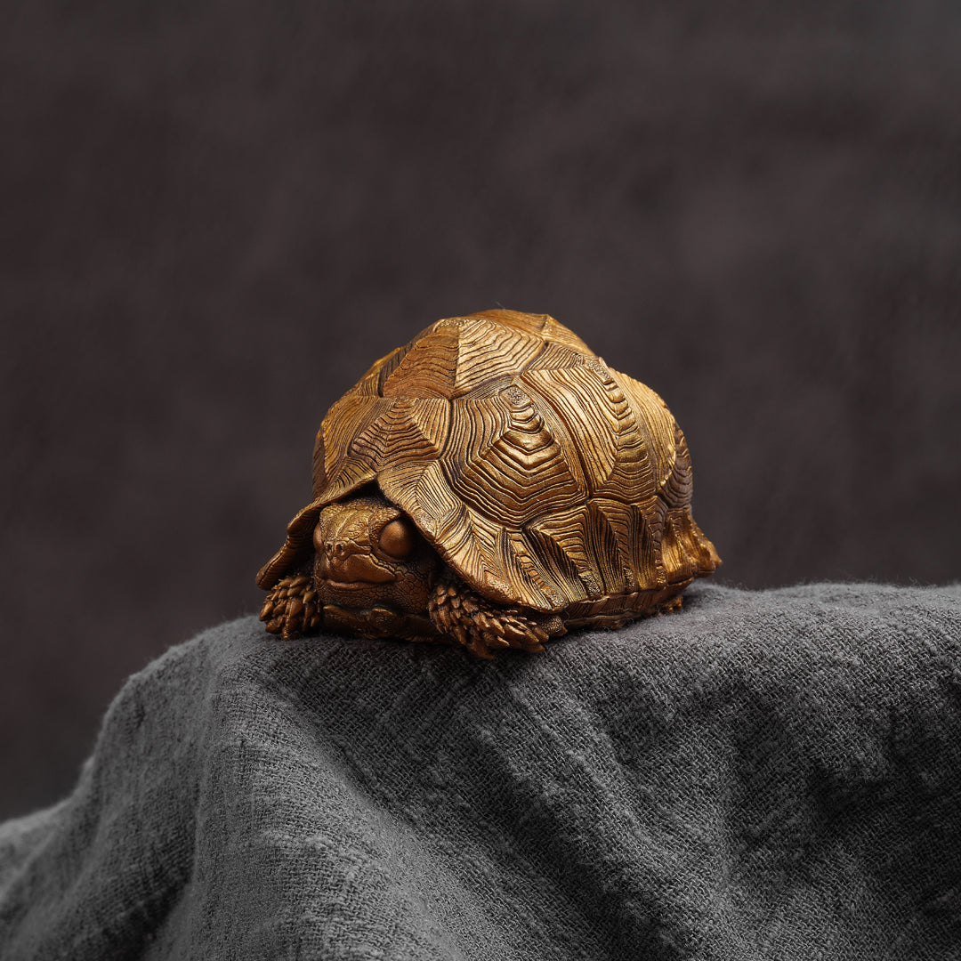 Leopard Tortoise Bronze Statue