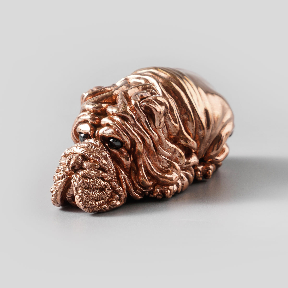 Shar Pei Dog