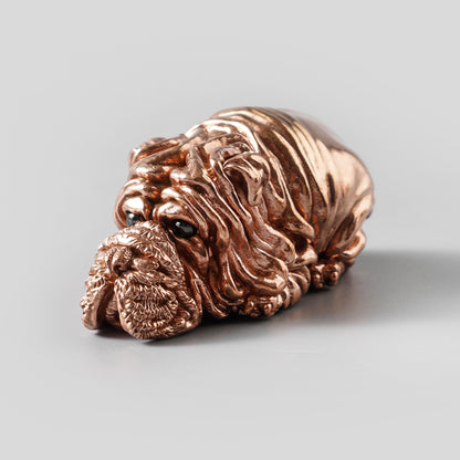 Shar Pei Dog