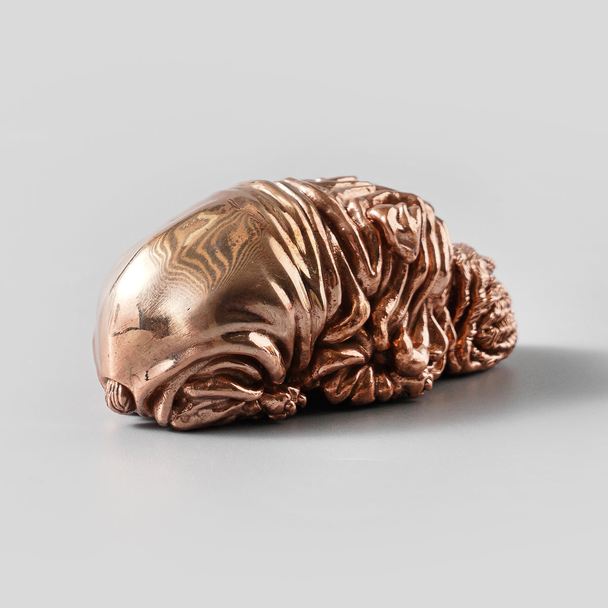 Shar Pei Dog Bronze Figurine