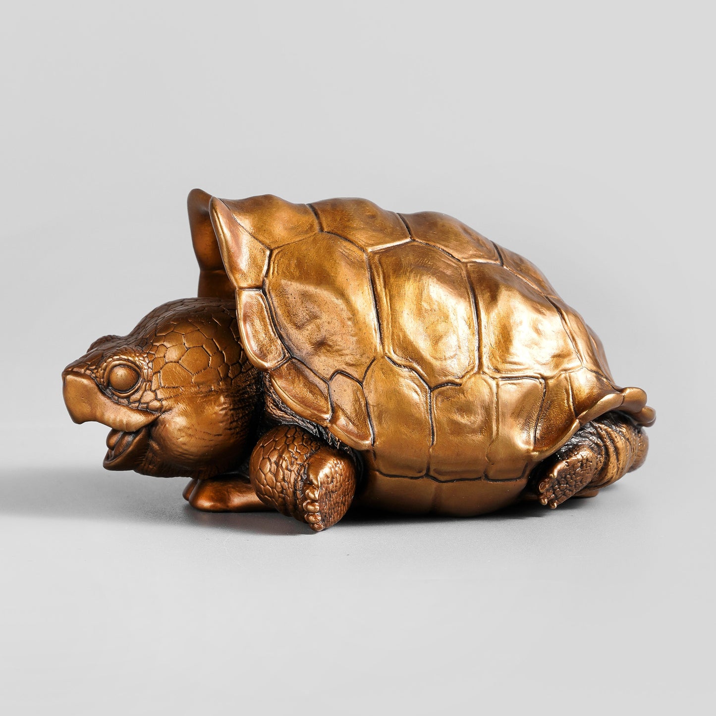 Galapagos Tortoise Statue