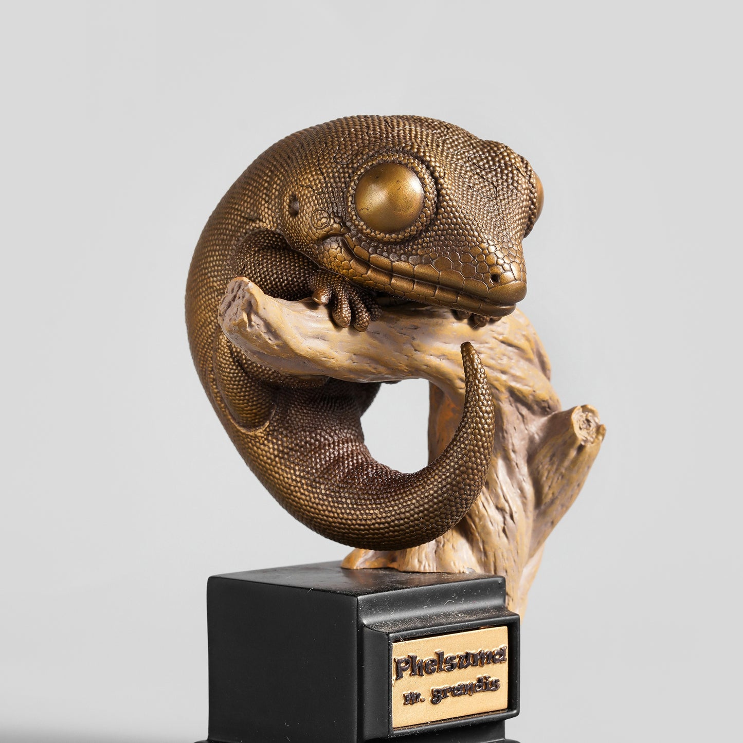 Bronze Madagascan Gecko Statue