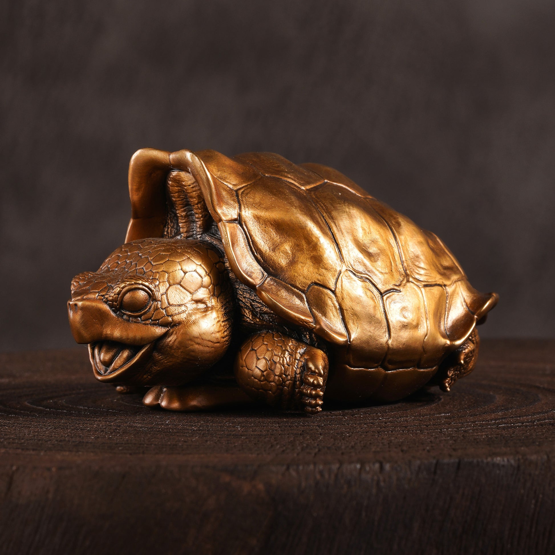 Galapagos Tortoise Bronze Statue