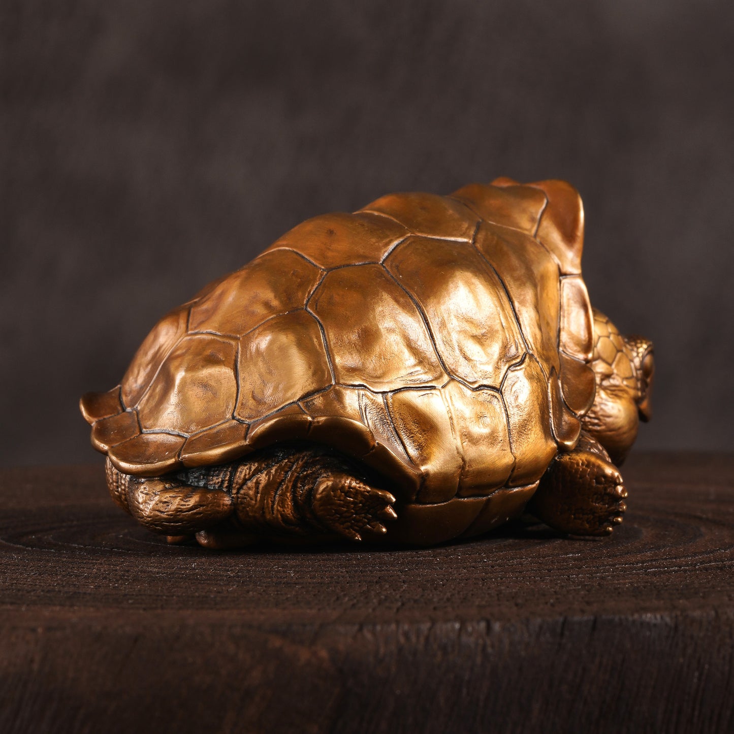 Galapagos Tortoise Bronze Figurine