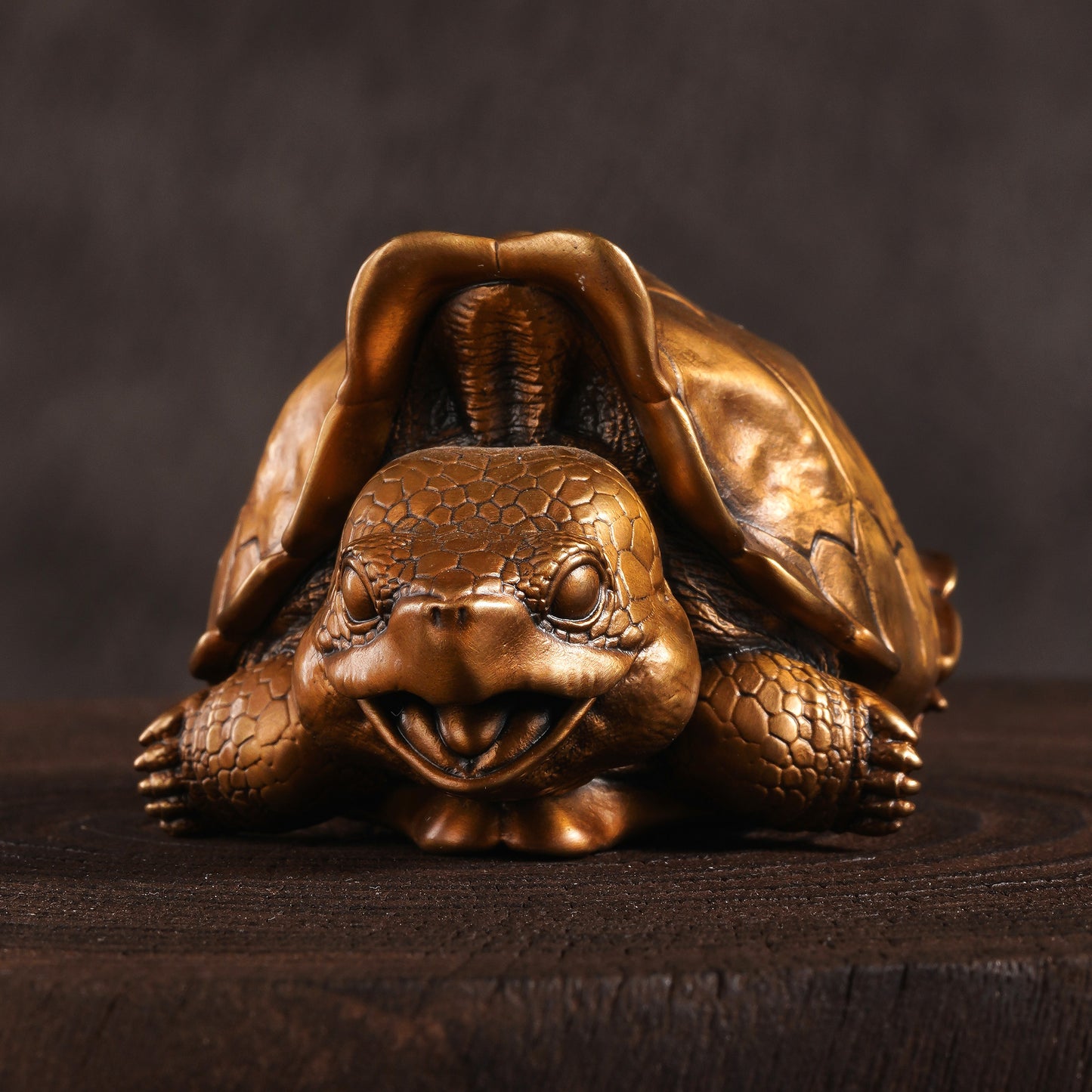 Galapagos Gaint Tortoise Bronze Statue