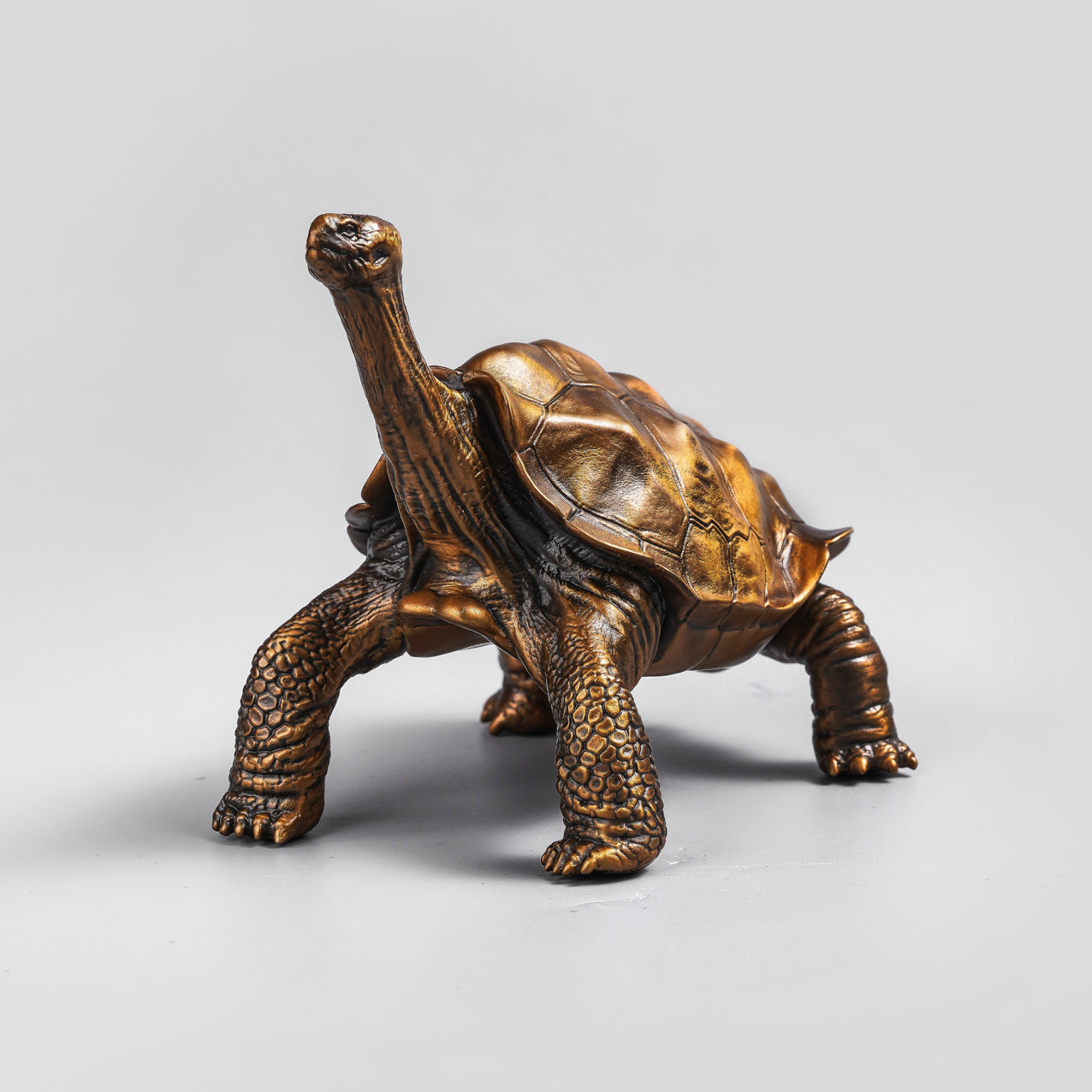 Galapagos Tortoise Bronze Statue