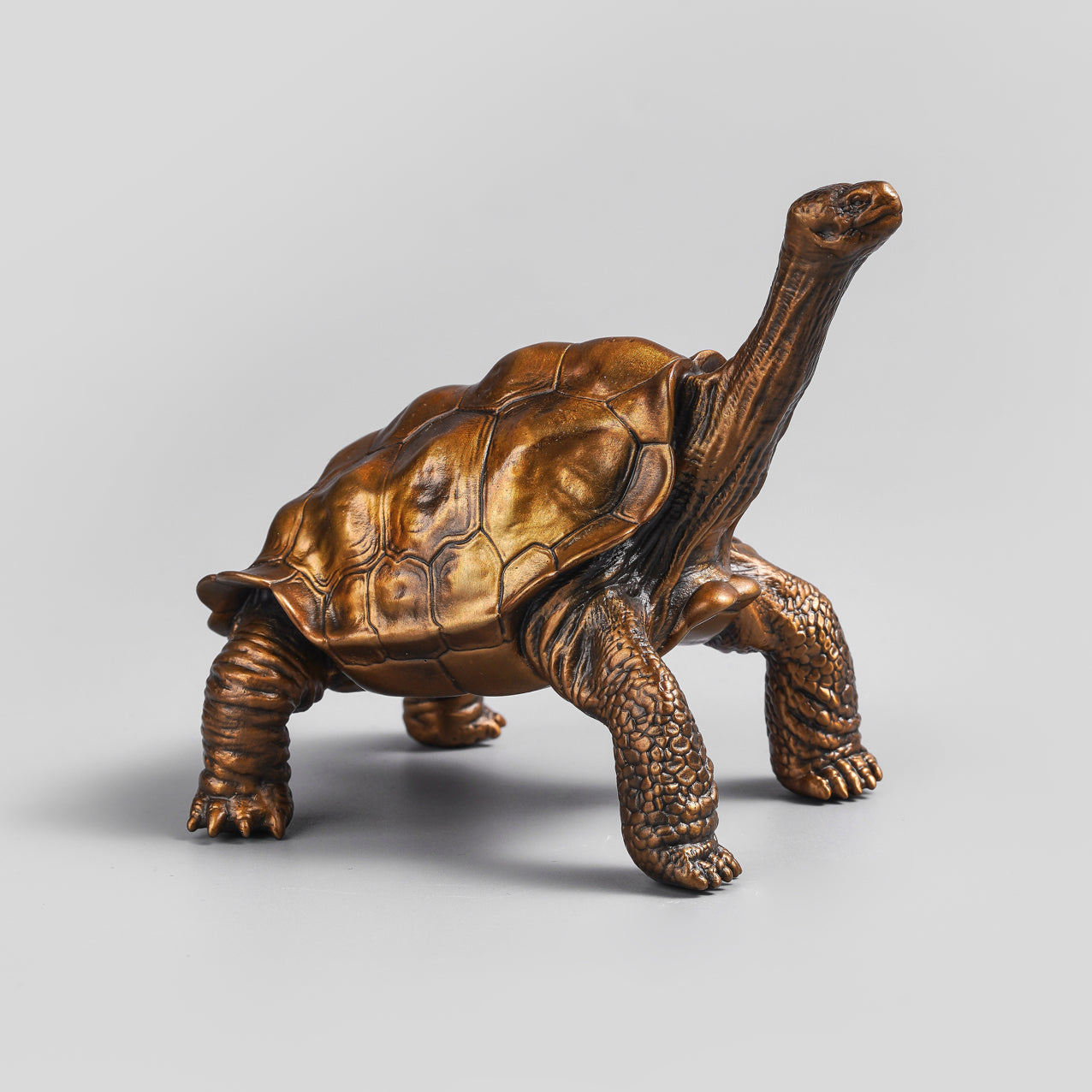 Galapagos Tortoise Bronze Statue