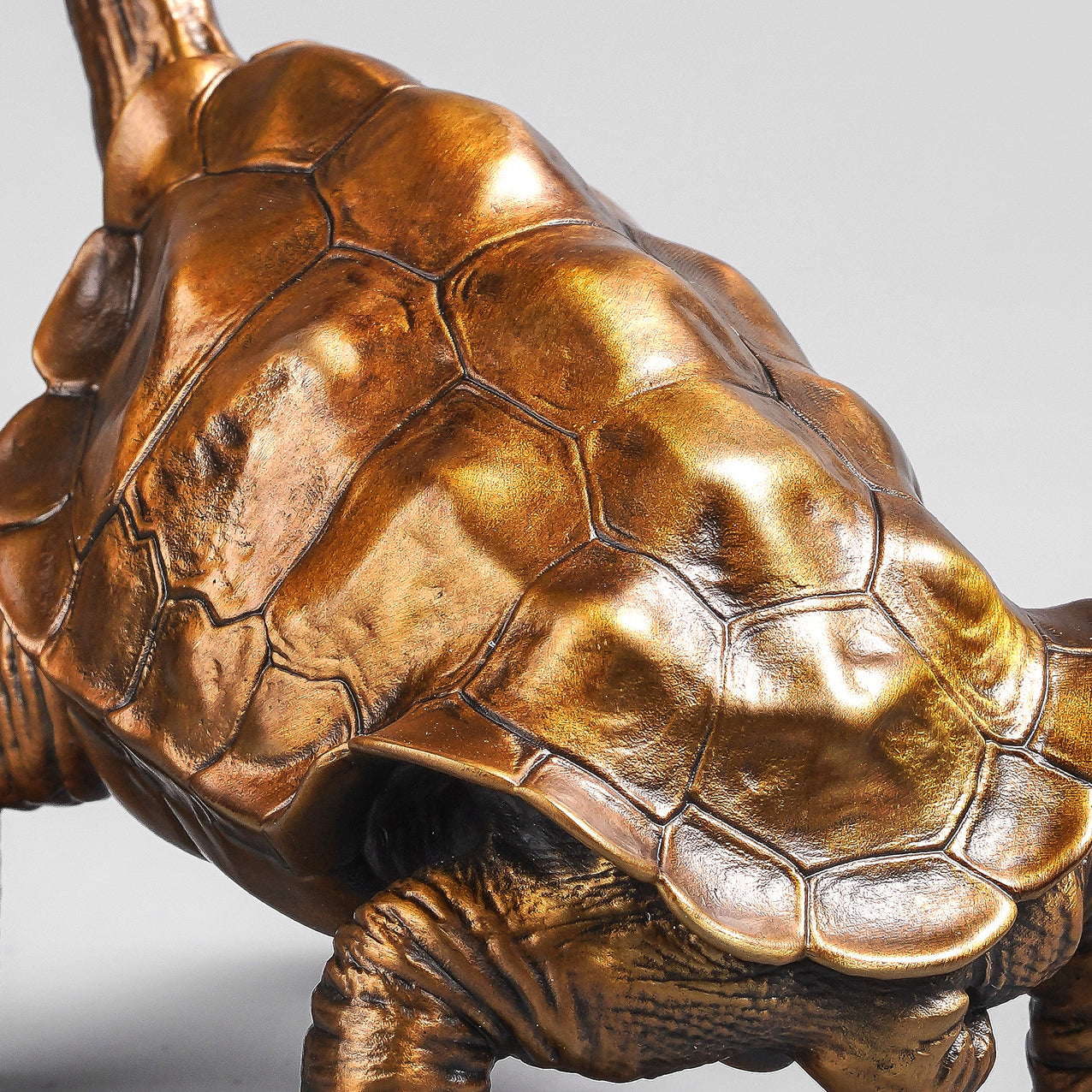 Galapagos Tortoise Bronze Statue