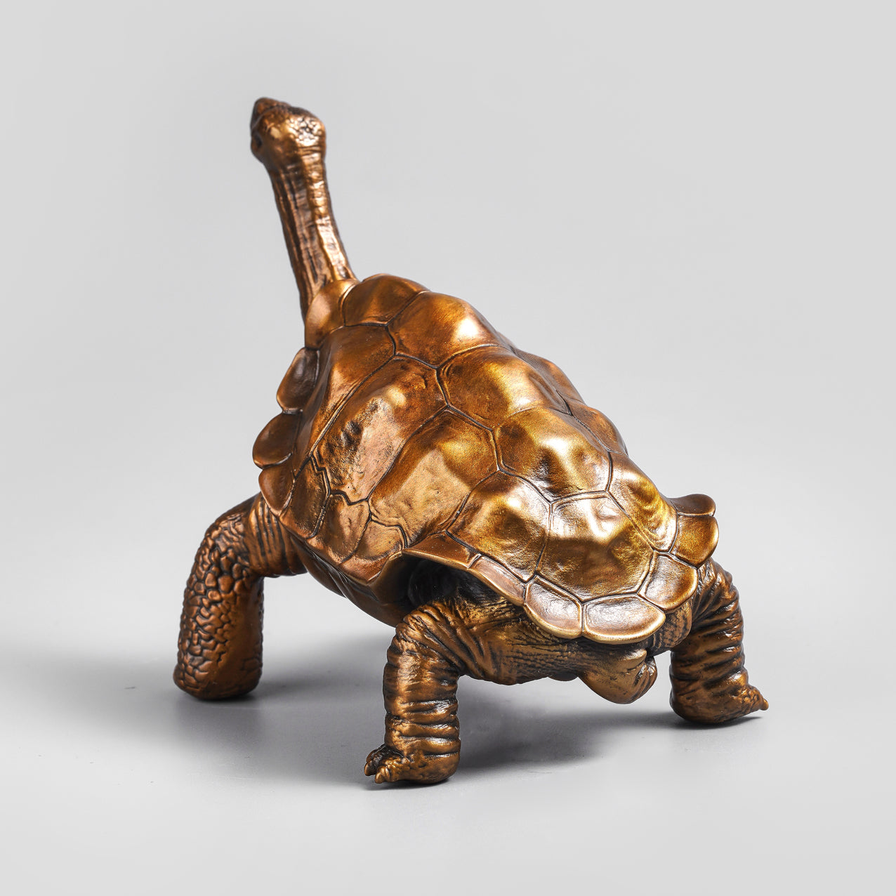 Galapagos Tortoise Bronze Statue