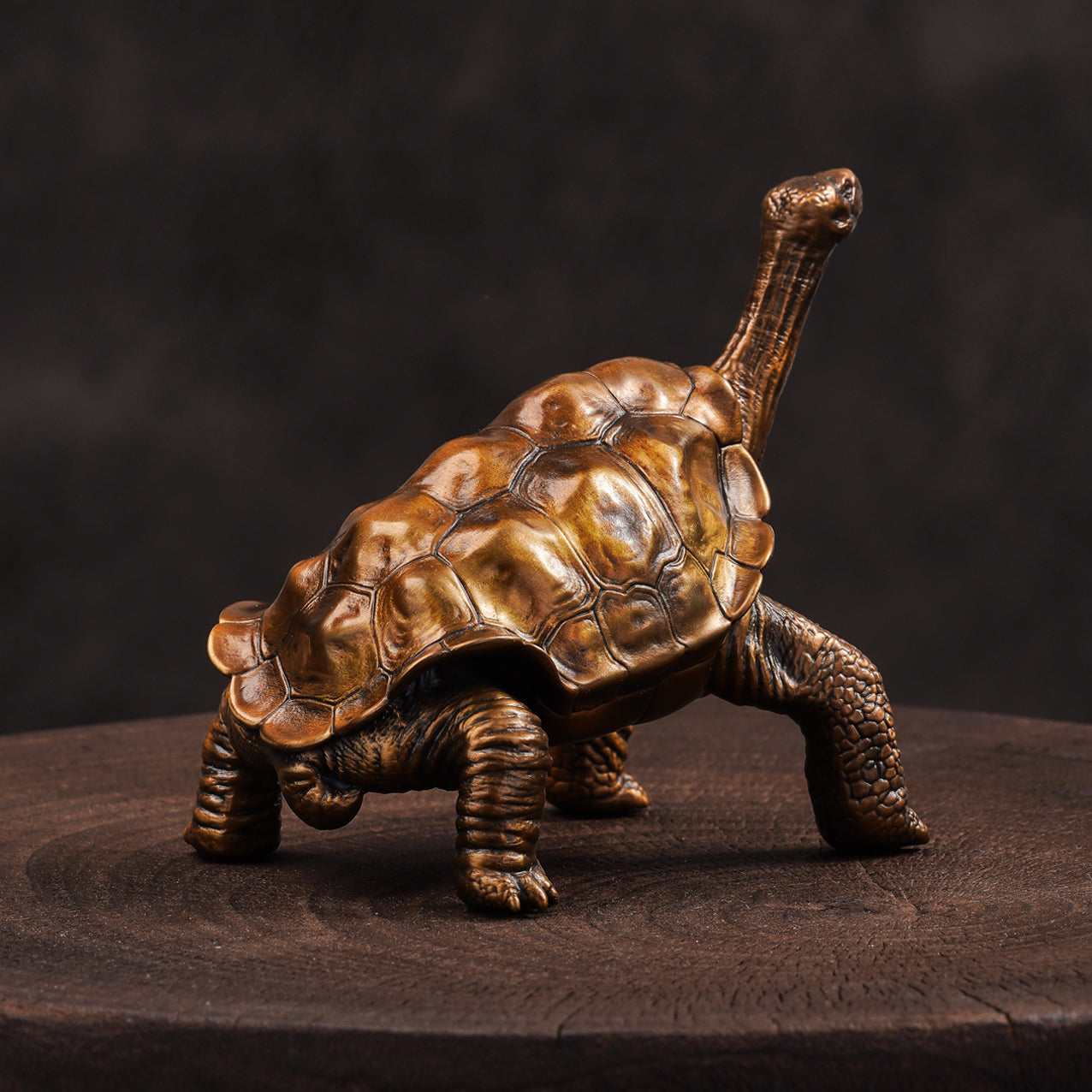 Galapagos Tortoise Bronze Statue