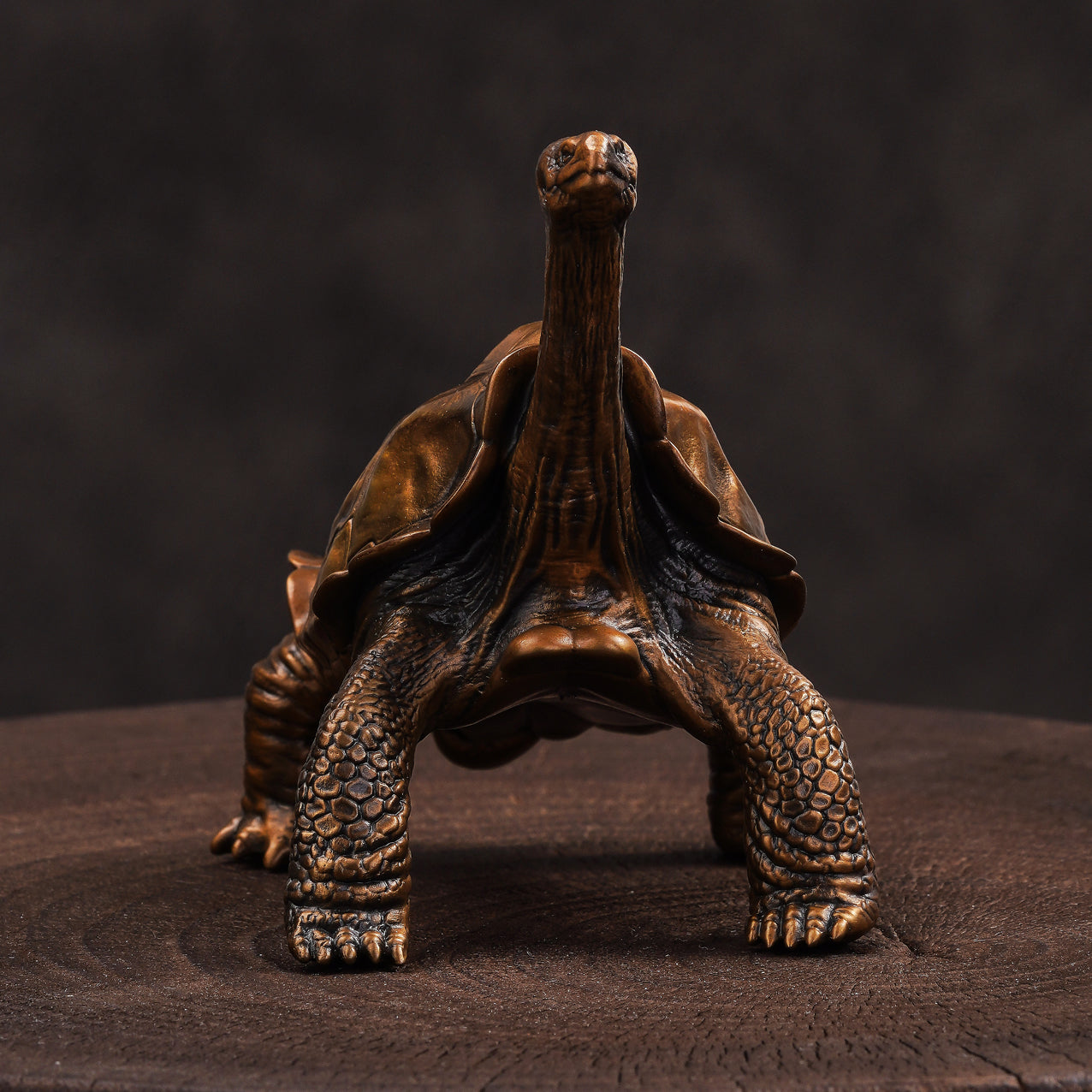 Galapagos Tortoise Bronze Statue