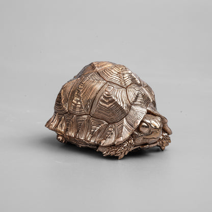 Leopard Tortoise Bronze Statue