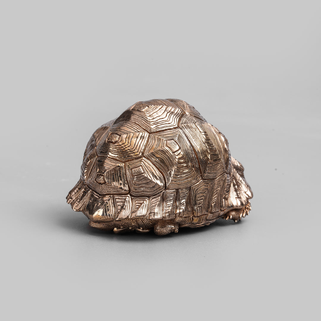 Leopard Tortoise Bronze Statue
