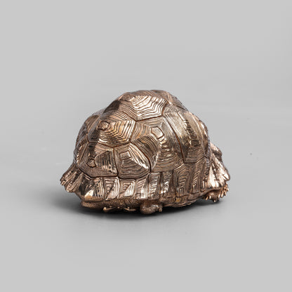 Leopard Tortoise Bronze Statue