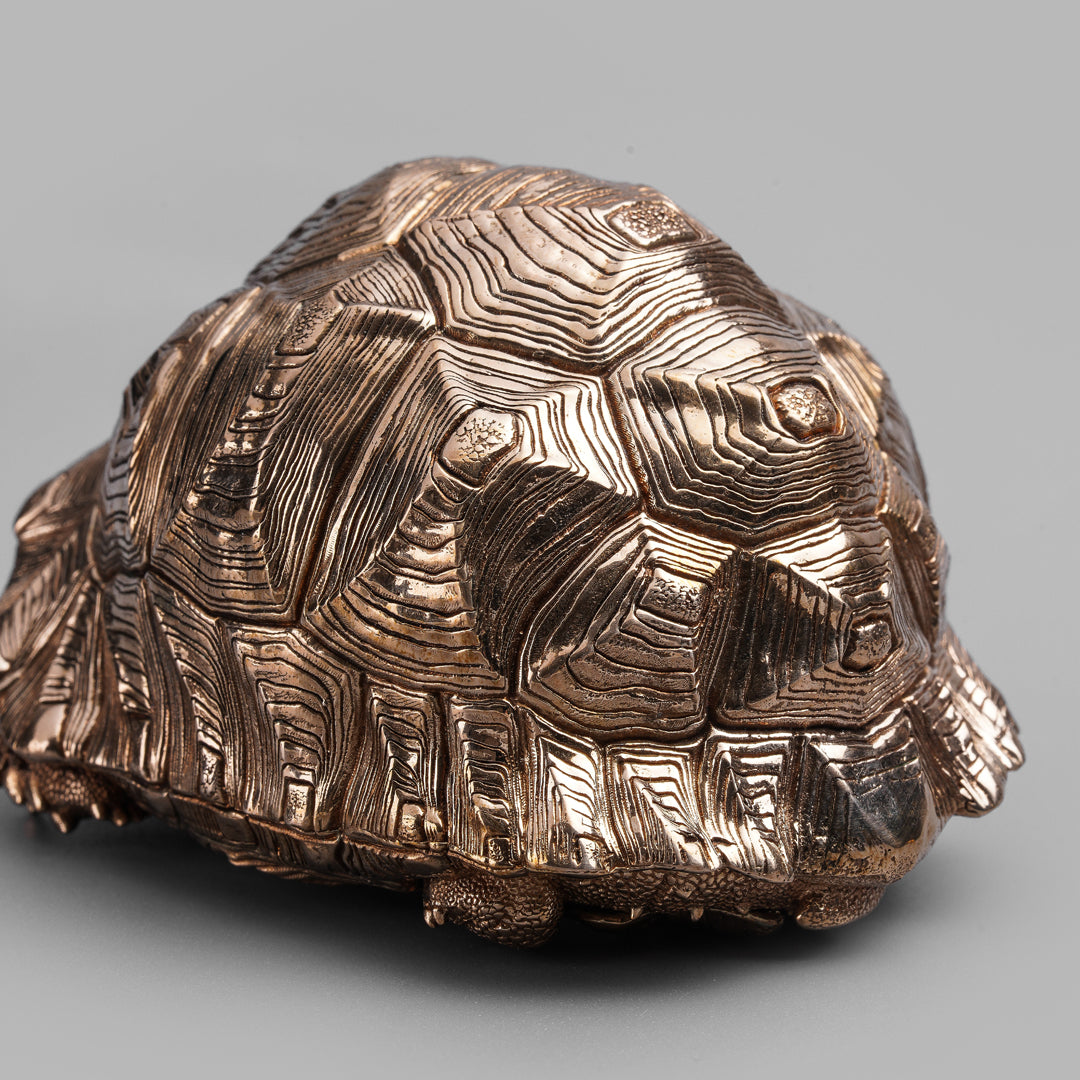 Leopard Tortoise Bronze Statue