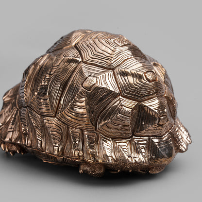 Leopard Tortoise Bronze Statue