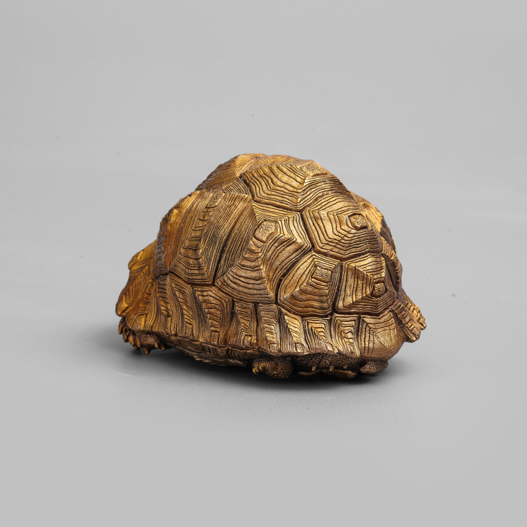 Leopard Tortoise Bronze Statue