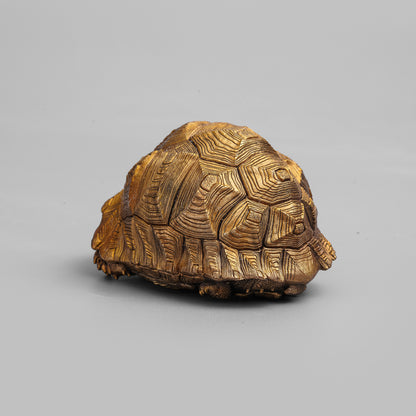 Leopard Tortoise Bronze Statue