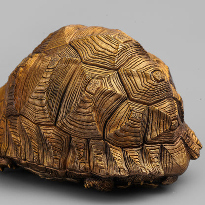 Leopard Tortoise Bronze Statue