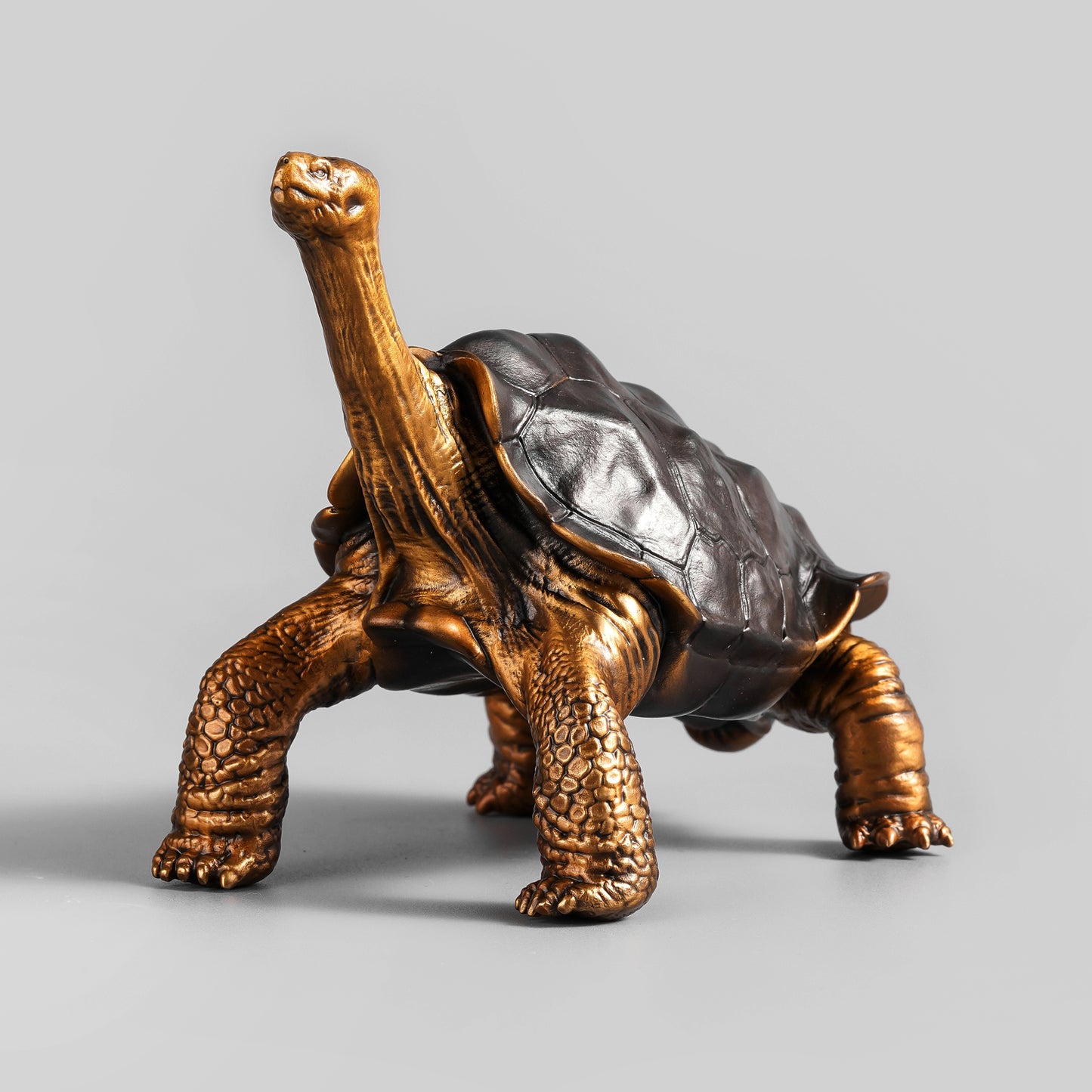 Galapagos Tortoise Bronze Statue