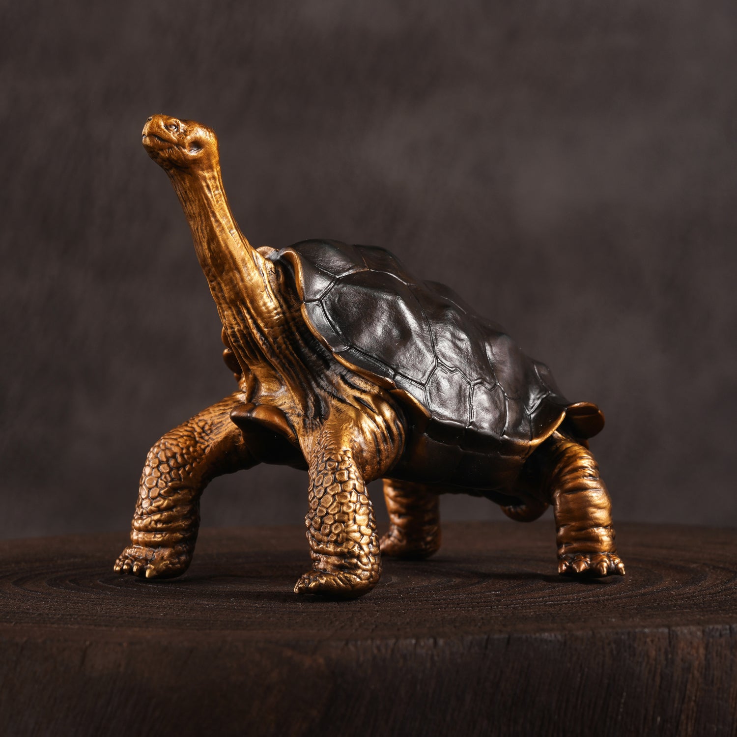Galapagos Tortoise Bronze Statue