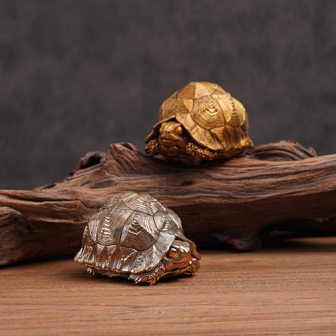 Leopard Tortoise Bronze Statue