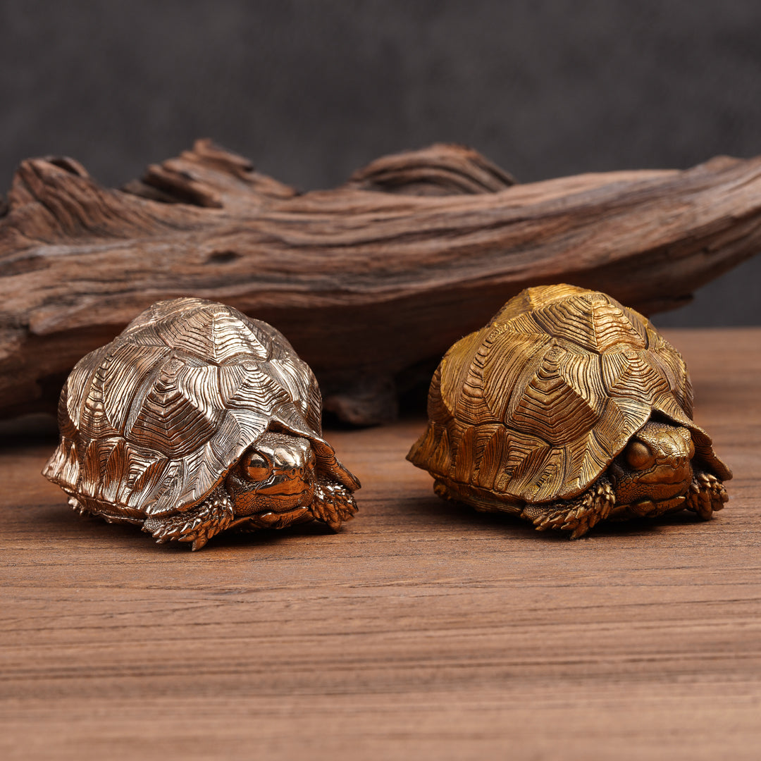 Leopard Tortoise Bronze Statue
