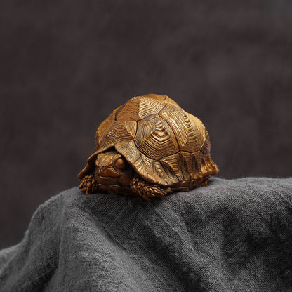 Leopard Tortoise Bronze Statue