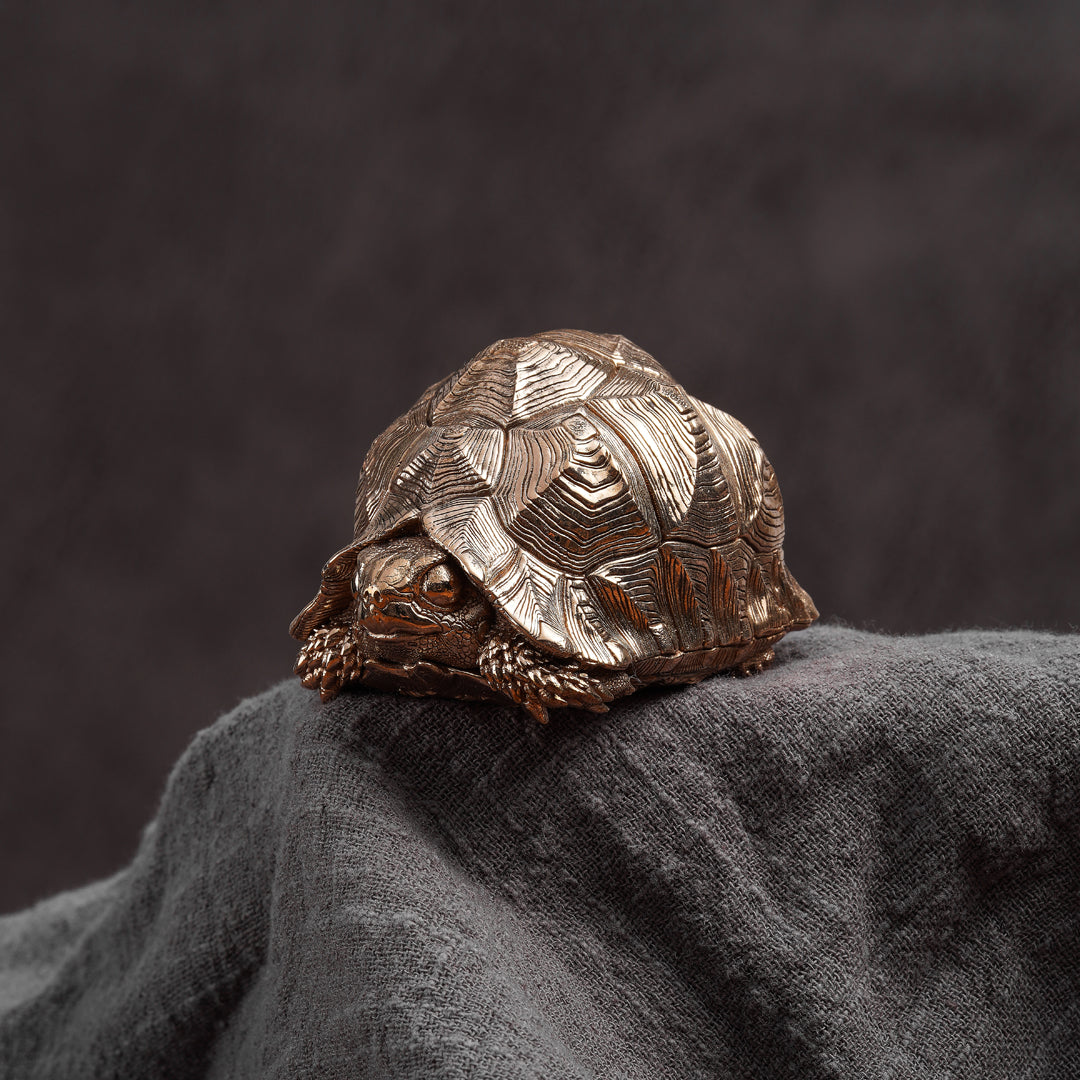 Leopard Tortoise Bronze Statue