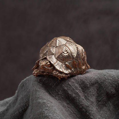 Leopard Tortoise Bronze Statue