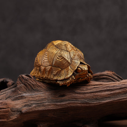 Leopard Tortoise Bronze Statue