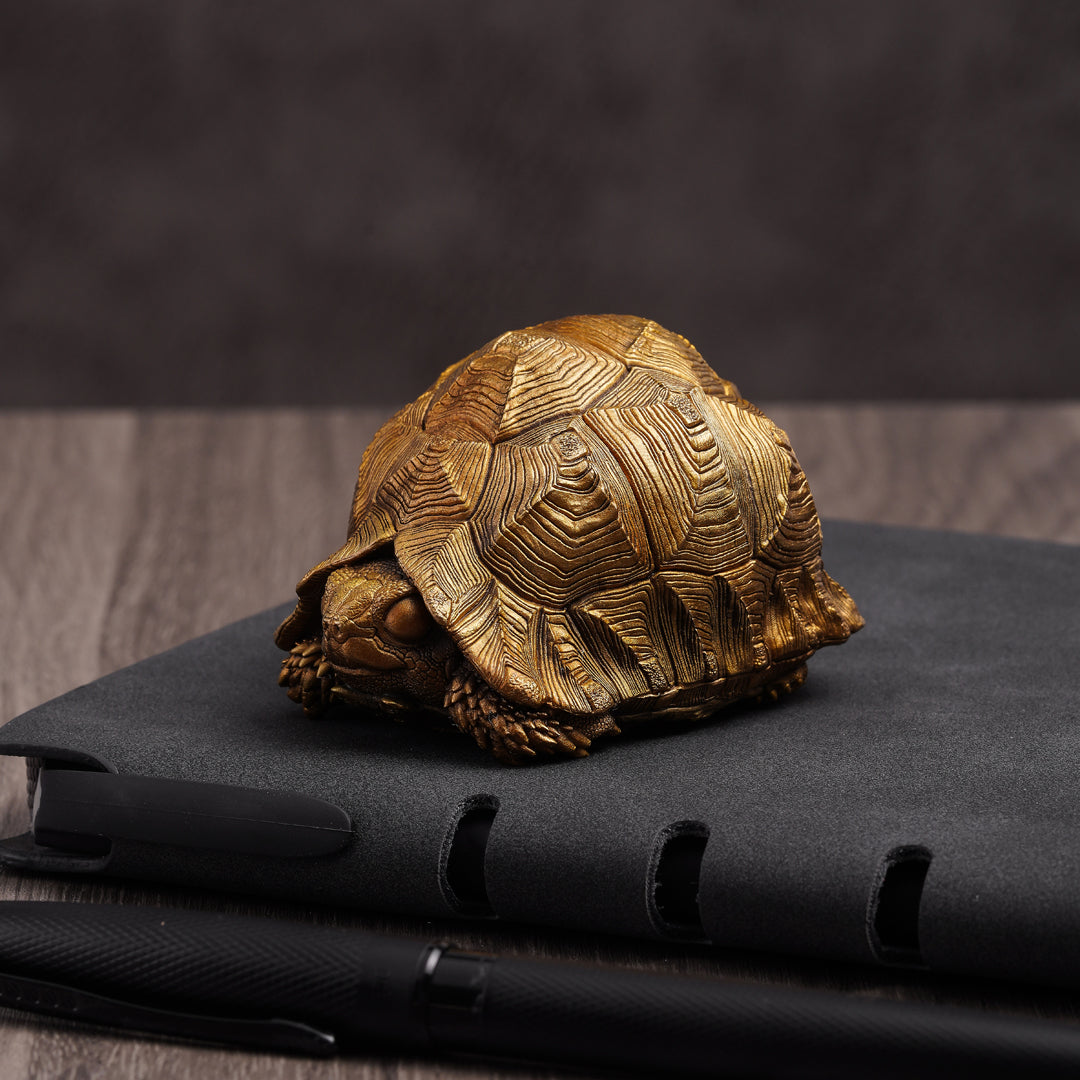Leopard Tortoise Bronze Statue