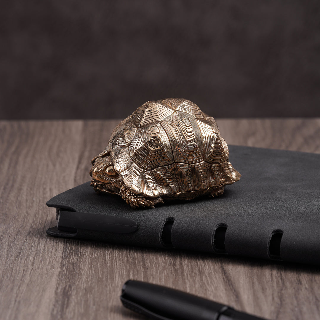 Leopard Tortoise Bronze Statue