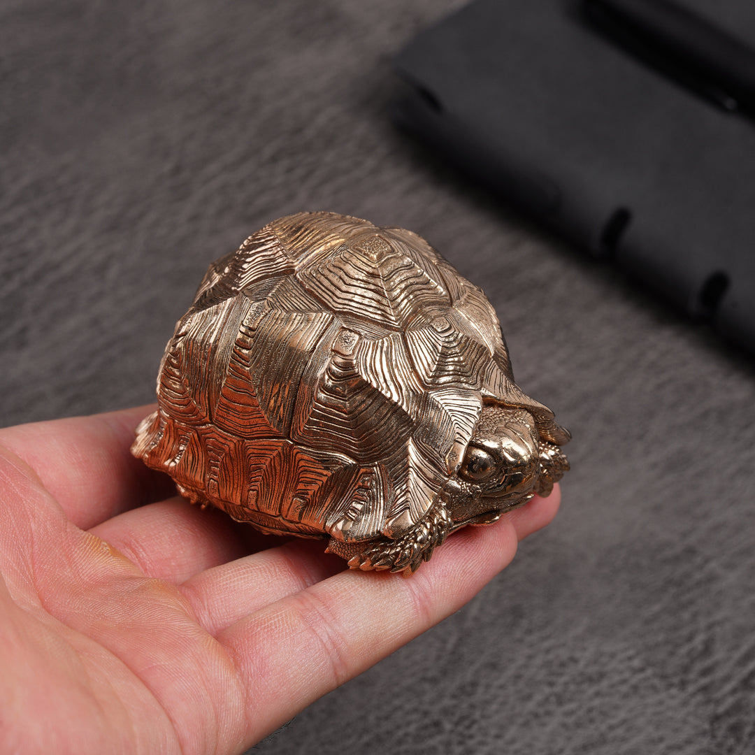 Leopard Tortoise Bronze Statue