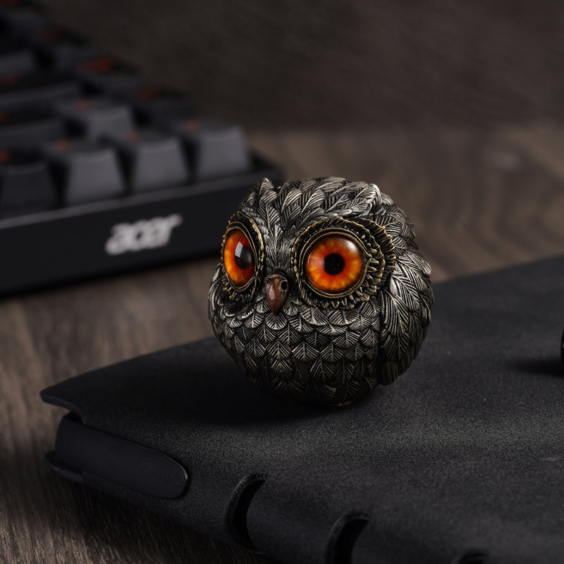 Bronze Wise Watcher Lucky Owl statue