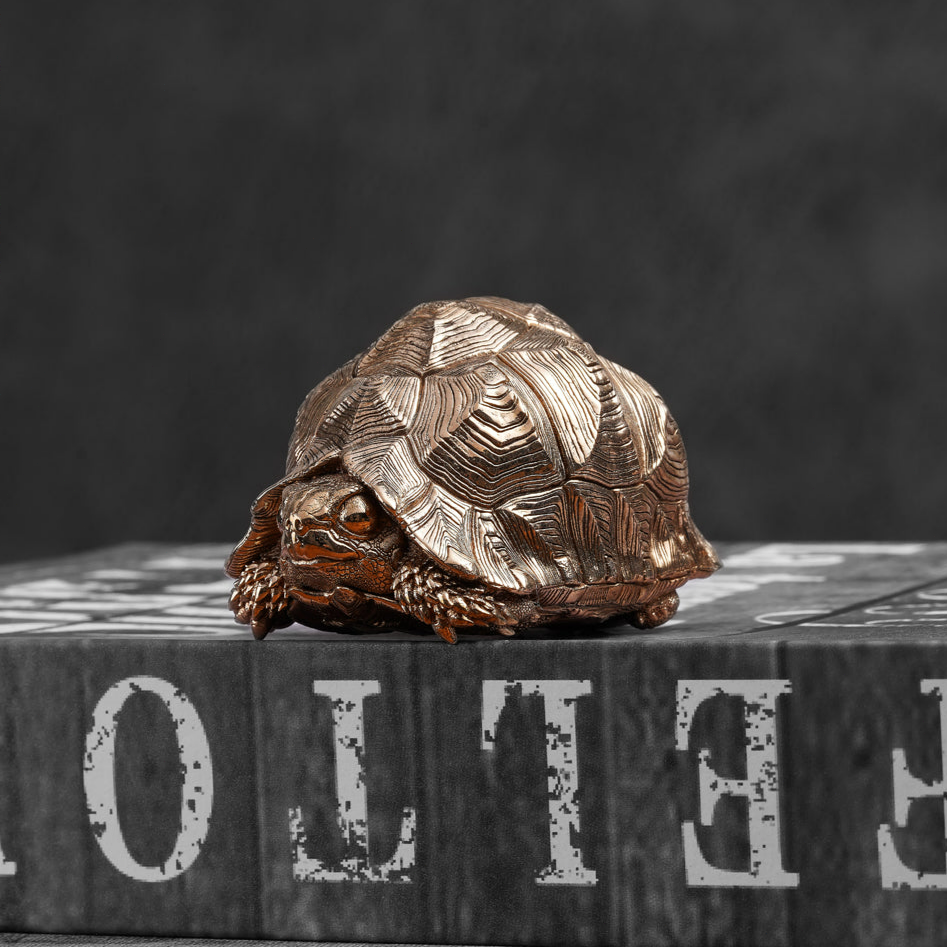 Leopard Tortoise Bronze Statue